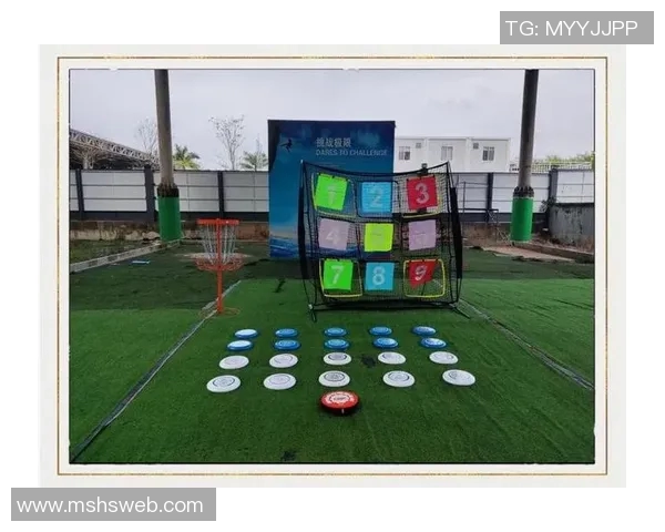 武汉飞盘队的崛起与奋斗精神探索飞盘运动的魅力与团队力量