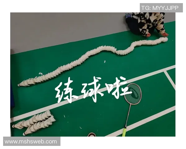 科学羽毛球训练指南:提升个人能力的有效方法与技巧分享 科学羽毛球训练指南:提升个人能力的有效方法与技巧分享